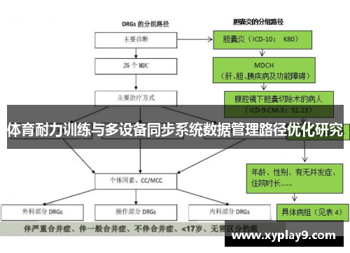 体育耐力训练与多设备同步系统数据管理路径优化研究